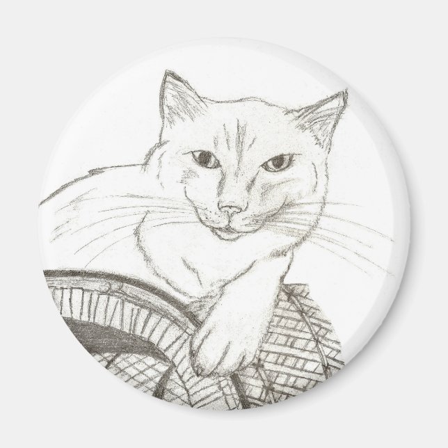 Cat Ragdoll Portrait Magnet (Front)