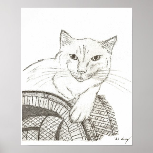 Cat Ragdoll Portrait Poster (Front)