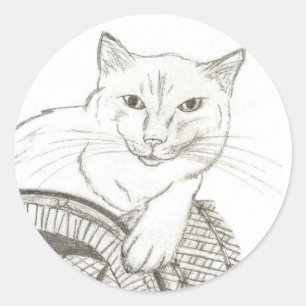 Cat Ragdoll Portrait Round Stickers - Set of 20