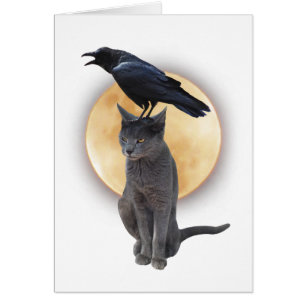 Cat Raven Moon Card