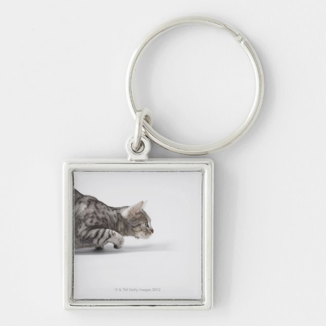 Cat ready to pounce key ring (Front)