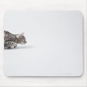 Cat ready to pounce mouse pad