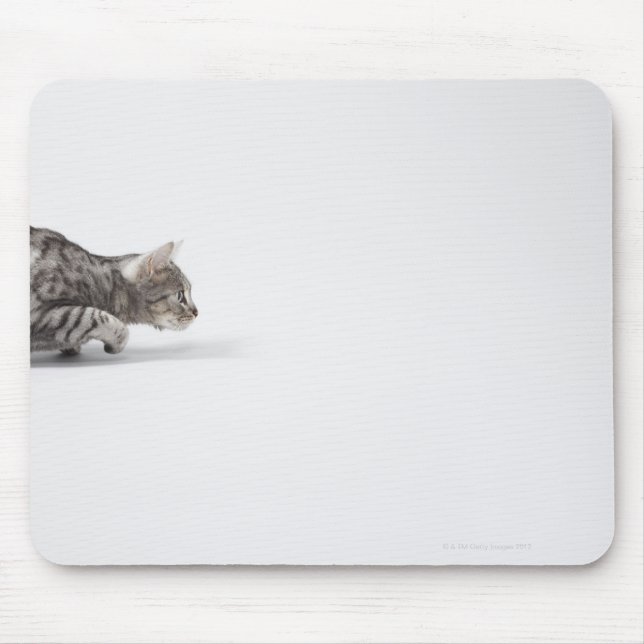 Cat ready to pounce mouse pad (Front)