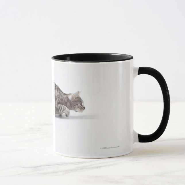 Cat ready to pounce mug (Right)