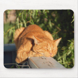 cat, red cat, pet mouse pad
