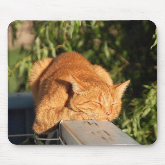 cat, red cat, pet mouse pad (Front)