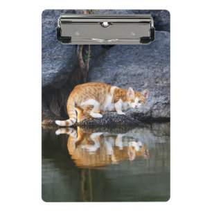 Cat Reflection in Pond Water Funny Animal Photo - Mini Clipboard