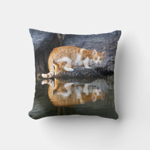 Cat Reflection in Pond Water Funny Photo - Cushion