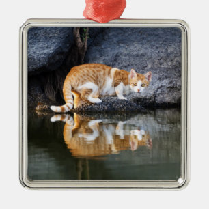 Cat Reflection in Pond Water Funny Photo - Metal Tree Decoration