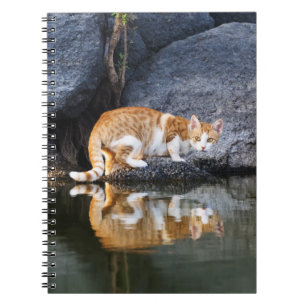 Cat Reflection in Pond Water Funny Photo - Notebook