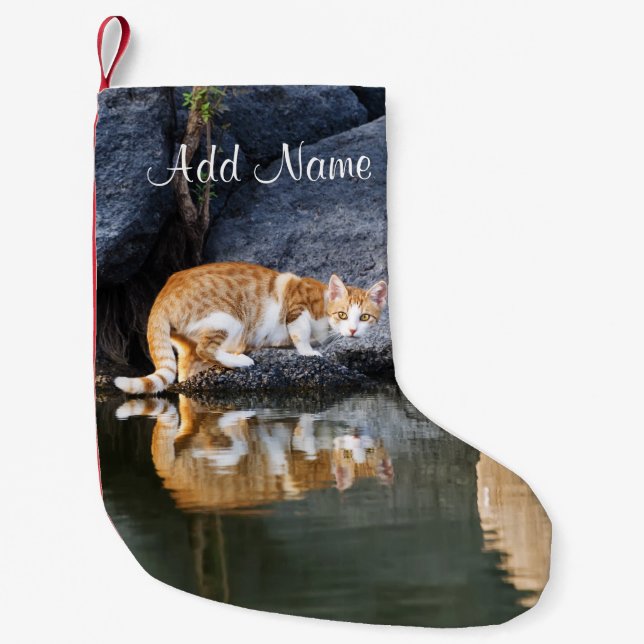Cat Reflection in Pond Water Funny Photo - Small Christmas Stocking (Front)