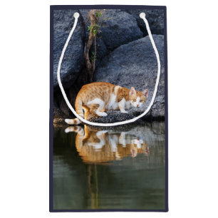 Cat Reflection in Pond Water Funny Photo - Wrap Small Gift Bag