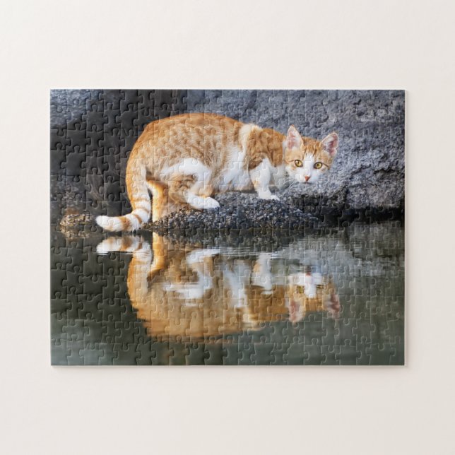 Cat Reflection in Pond Water, Game Jigsaw Puzzle (Horizontal)