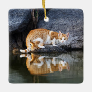 Cat Reflection in Pond Water Photo - Ceramic Ornament