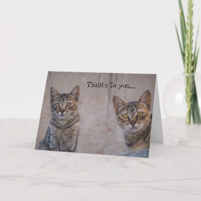 Cat Rescue Kitty Lover Thank You Card (Front)