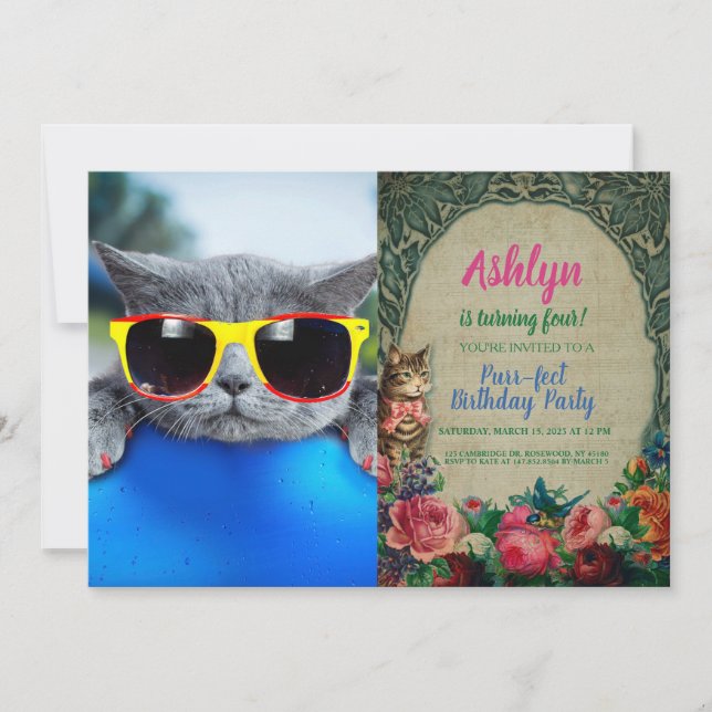 Cat rest in the pool on the air mattress invitation (Front)