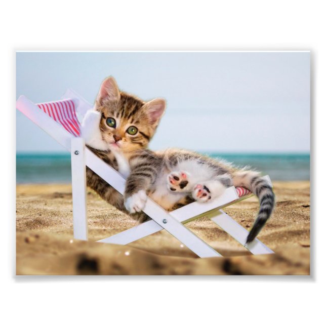 Cat resting on a sun lounger photo print (Front)