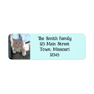 Cat Return Address Label