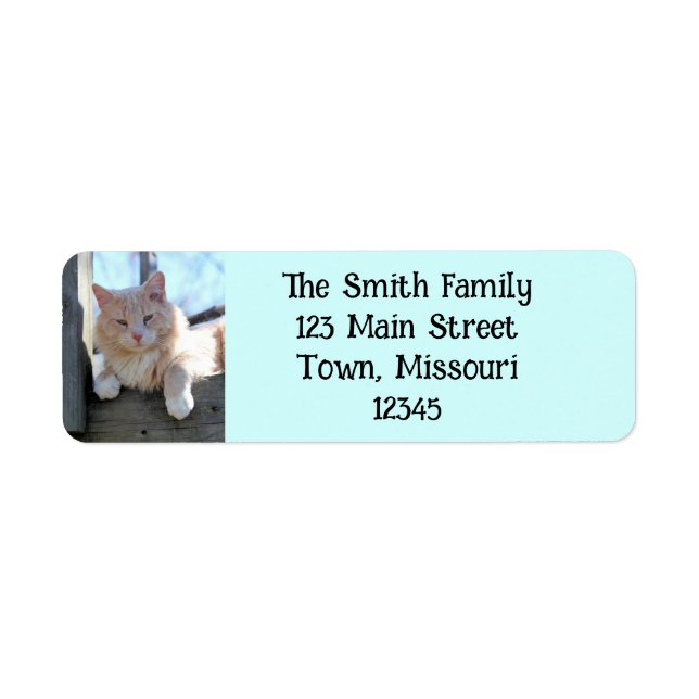 Cat Return Address Label (Front)