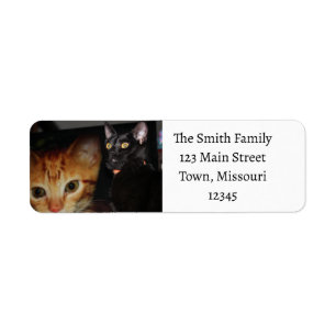 Cat Return Address Label