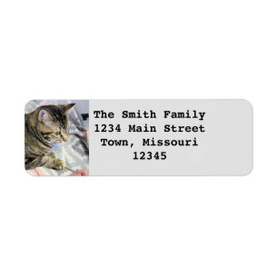 Cat Return Address Label