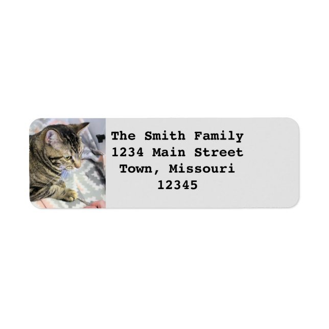 Cat Return Address Label (Front)