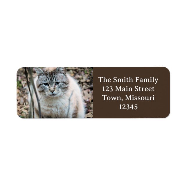 Cat Return Address Label (Front)