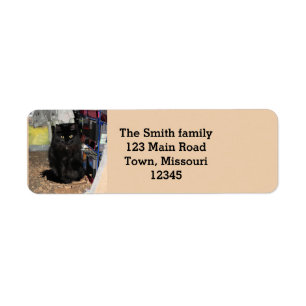 Cat return address label