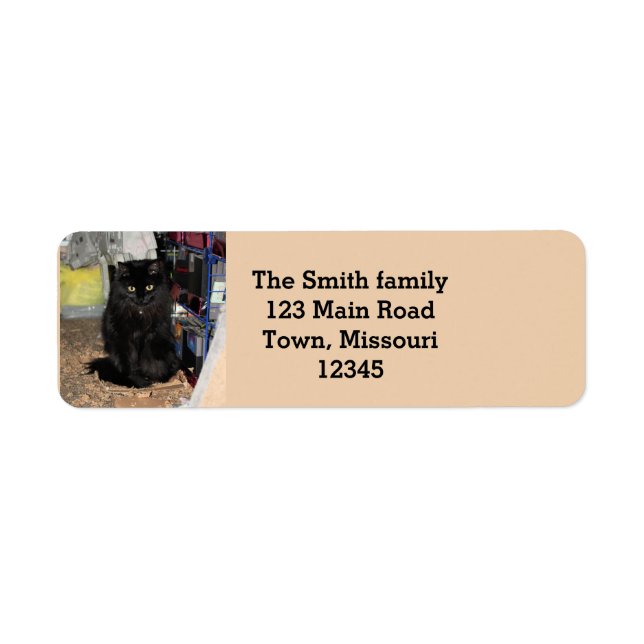 Cat  return address label (Front)