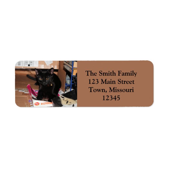 Cat Return Address Label (Front)