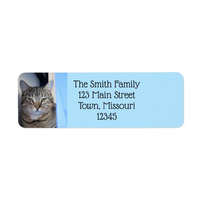 Cat Return Address Label (Front)