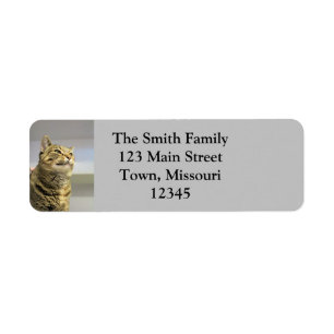 Cat Return Address Label