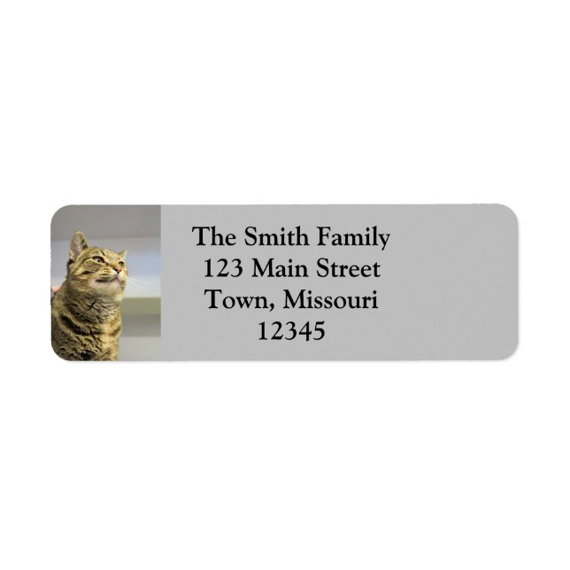 Cat Return Address Label (Front)