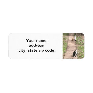 Cat Return Address Label