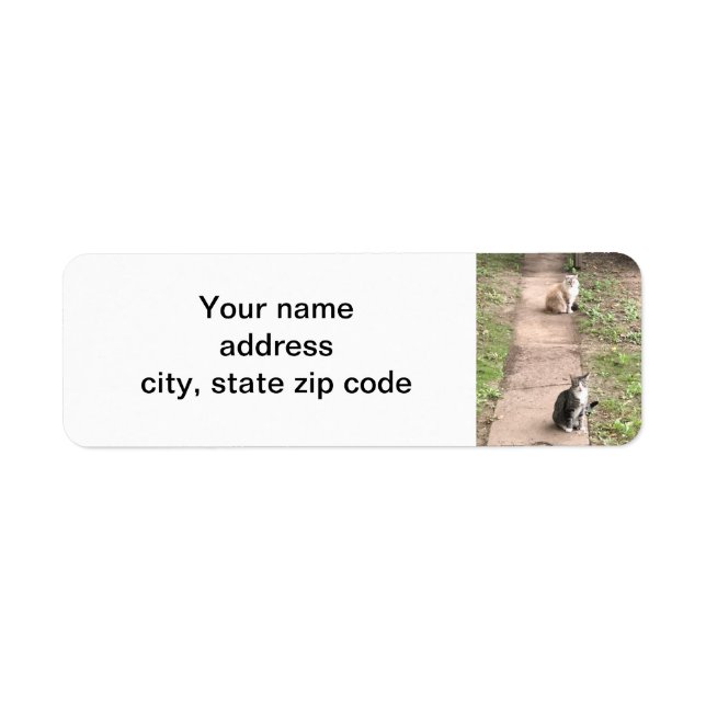 Cat Return Address Label (Front)