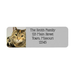 Cat Return Address Label