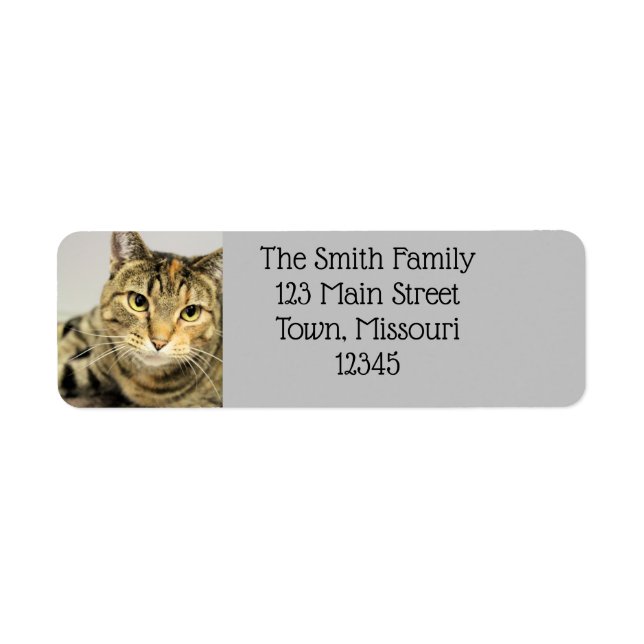 Cat Return Address Label (Front)