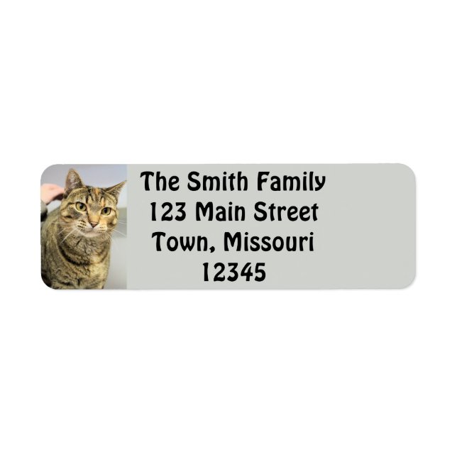 Cat Return Address Label (Front)