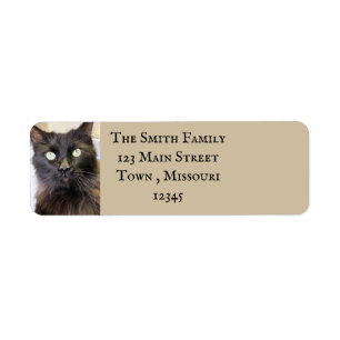 Cat Return Address Label