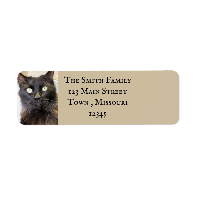 Cat Return Address Label (Front)