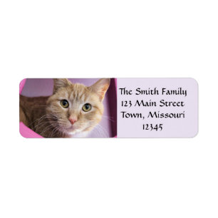 Cat Return Address Label
