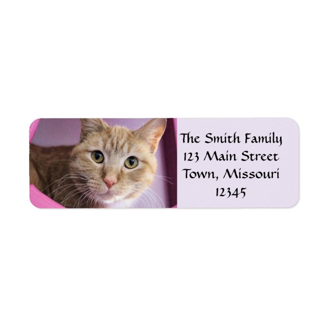 Cat Return Address Label (Front)