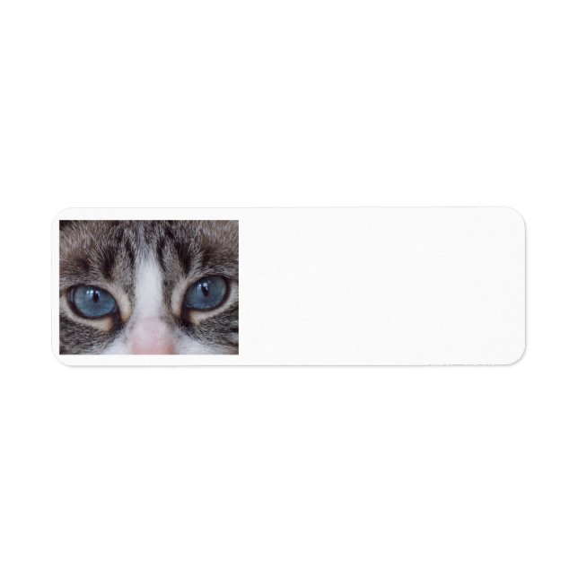Cat return address label - blue eyes (Front)