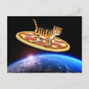 CAT RIDING PIZZA IN SPACE Funny POSTCARDS
