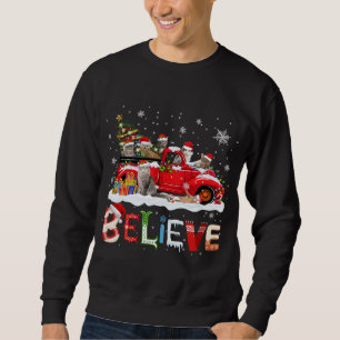 Cat Riding Red Truck Christmas Tree Believe Santa  Sweatshirt