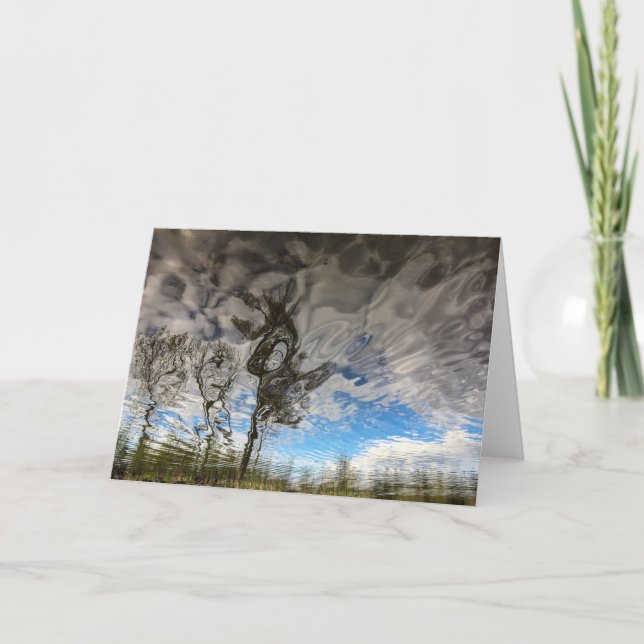 Cat Rock Trees Blank Card (Front)