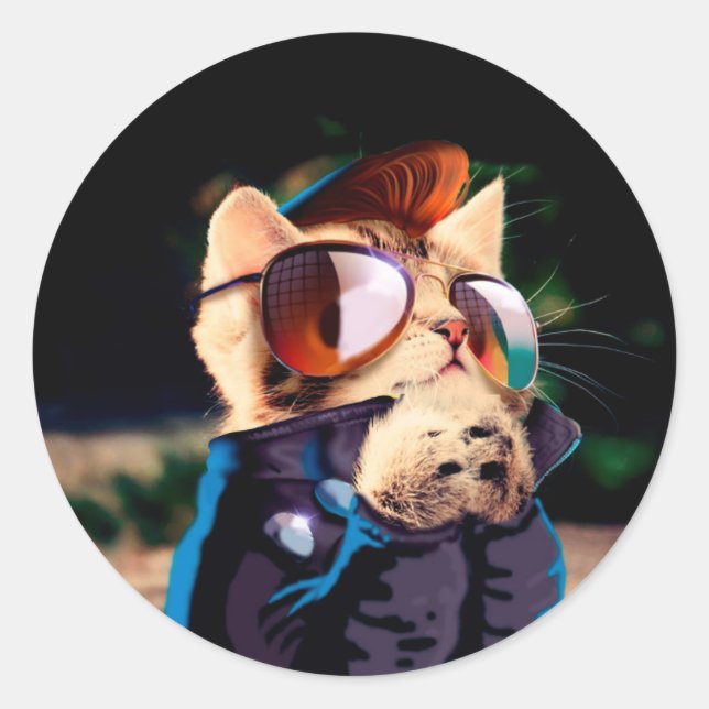 Cat rocker dressed up in leather jacket classic round sticker (Front)