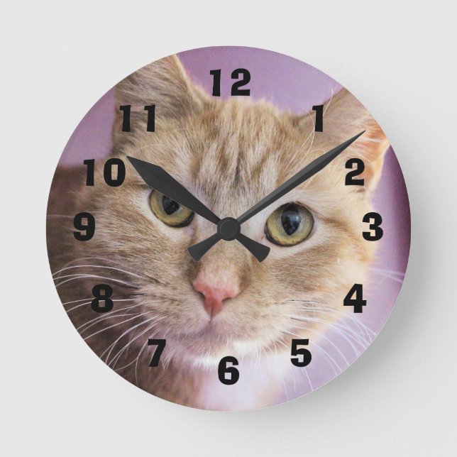Cat Round Clock (Front)