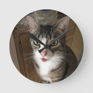 Cat Round Clock