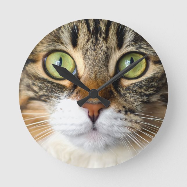 cat round clock (Front)